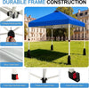 WEIZE 10x10 Pop Up Canopy Tent