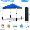 WEIZE 10x10 Pop Up Canopy Tent